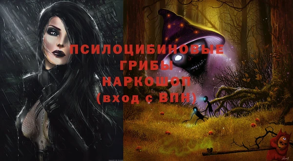 гашик Балабаново