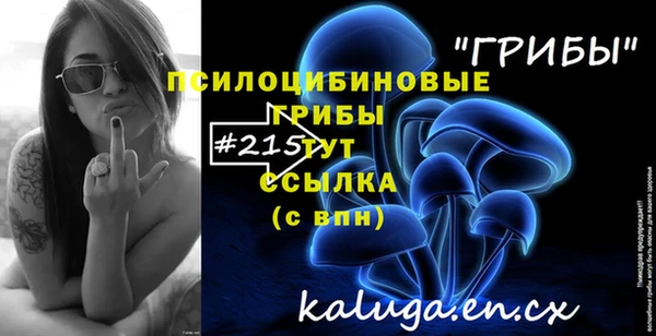 гашик Балабаново